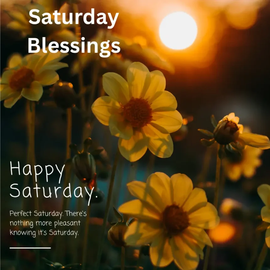 Saturday Blessings