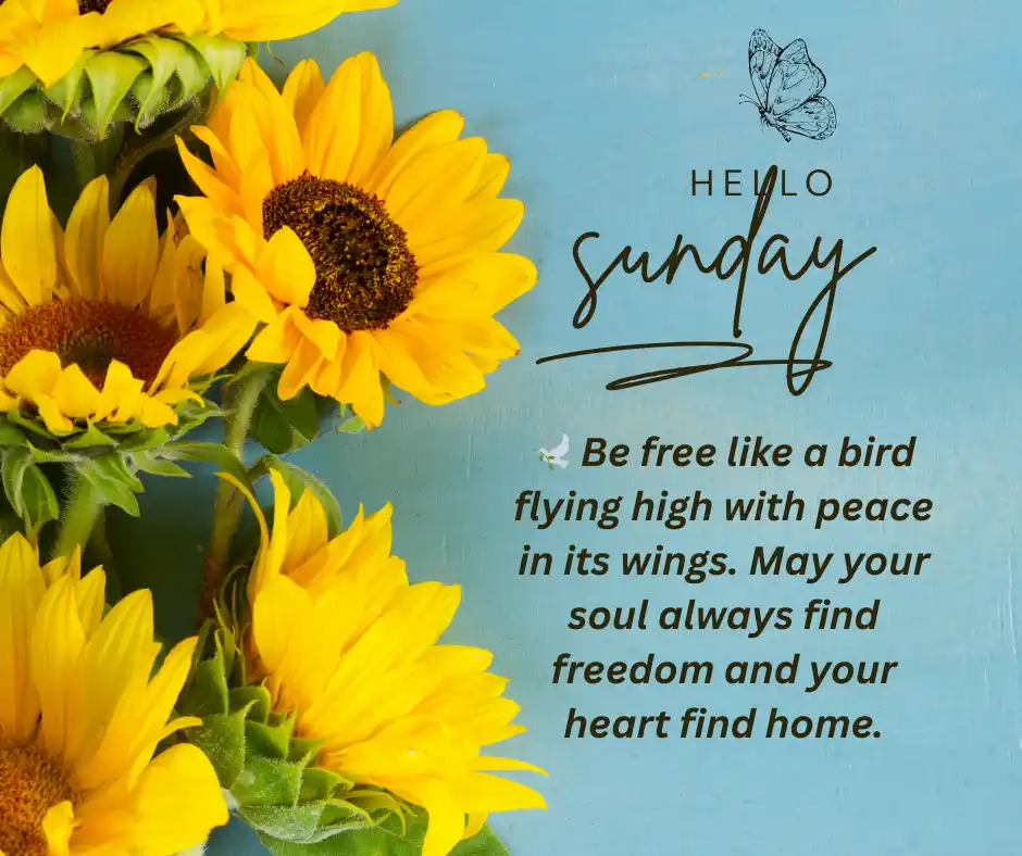 Sunday Blessing – Peaceful Morning Sunrise with Sunday Prayers, Quotes & Wishes