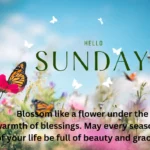 Sunday Blessing – Peaceful Morning Sunrise with Sunday Prayers, Quotes & Wishes