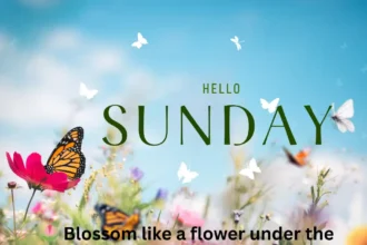 Sunday Blessing – Peaceful Morning Sunrise with Sunday Prayers, Quotes & Wishes