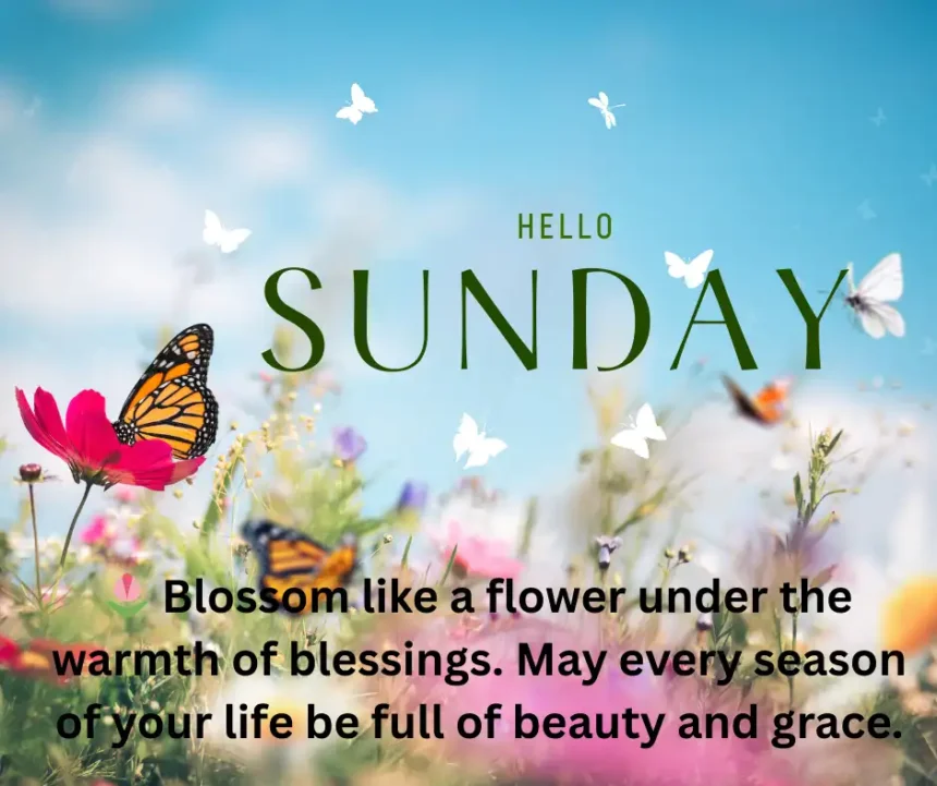 Sunday Blessing – Peaceful Morning Sunrise with Sunday Prayers, Quotes & Wishes