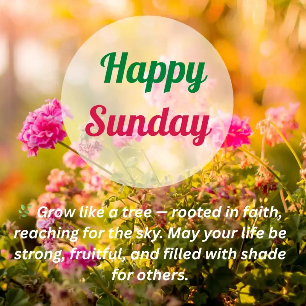 Sunday Blessing – Peaceful Morning Sunrise with Sunday Prayers, Quotes & Wishes