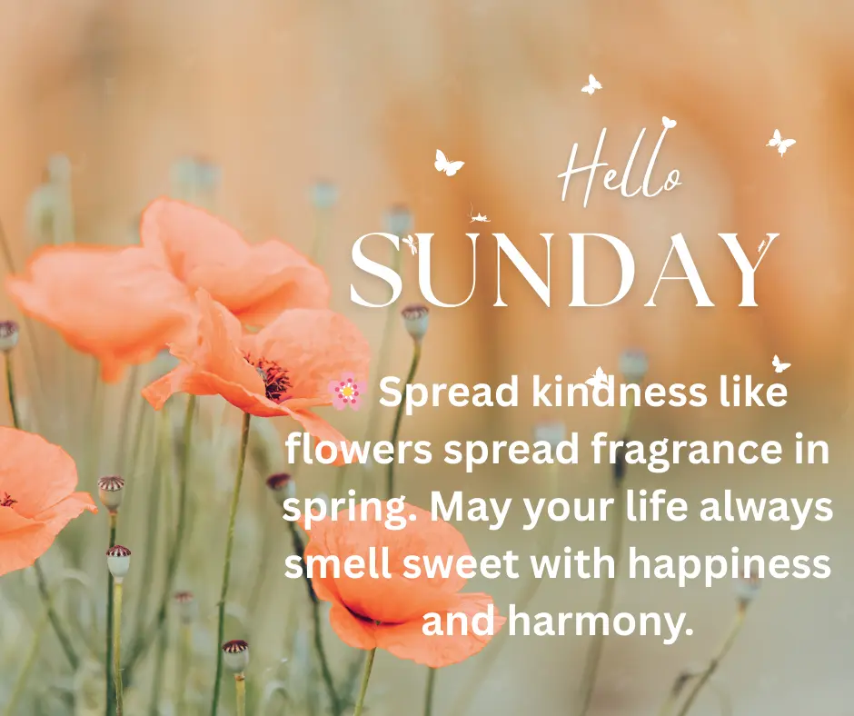 Sunday Blessing – Peaceful Morning Sunrise with Sunday Prayers, Quotes & Wishes