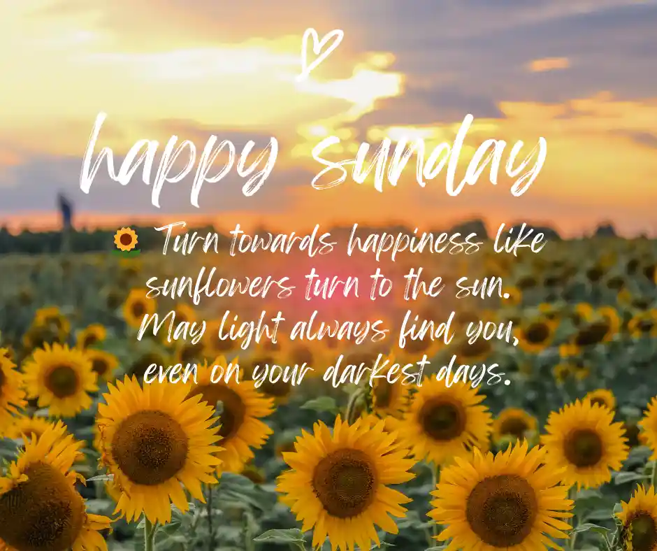 Sunday Blessing – Peaceful Morning Sunrise with Sunday Prayers, Quotes & Wishes