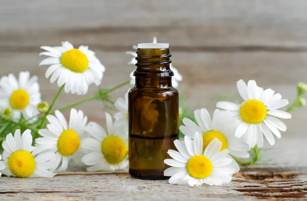 Small glass bottle of Roman chamomile essential oil on wooden surface